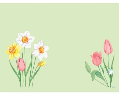 Produktbild von 500x DUNI Dunicel®-Tischset 30 x 40 cm Spring Melody