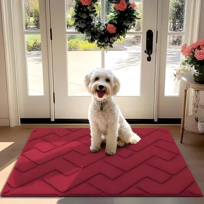 Produktbild von PolkaHome® Innentürmatte, rutschfest, maschinenwaschbar, wasserabsorbierend, 80 x 120 cm, Rot