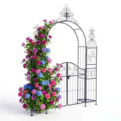 Zdjęcie produktu dla Relaxdays Łuk różany z drzwiami, 2 półki, metal, do ogrodu, wymiary: 263 x 190 x 39 cm, łuk do pnączy, czarny