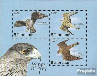 Produktbild von Briefmarken Gibraltar 2000 Mi Block44 (kompl.Ausg.) postfrisch Kampffugzeuge