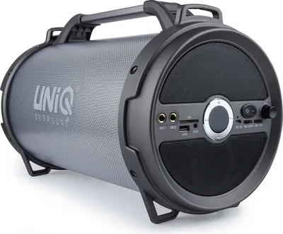 Productafbeelding van UNIQ Accessoire Bluetooth-speaker (met karaoke-LED-lichtshow) - Grijs