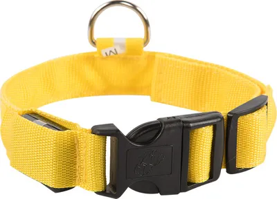 Produktbild von Hundehalsband Leuchthalsband Hund LED USB Aufladbar Akku Halsband Gr. S M L XL Farbe Gelb - Aufladbar USB Größe Gr. L (41 - 52cm)