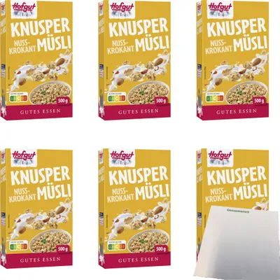Produktbild von Hofgut Müsli Knusper Nuss Krokant VPE (6x500g Packung) + usy Block