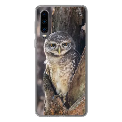 Produktbild von MuchoWow® Handyhülle Schutzhülle Hülle für Huawei P30 Eule - Baum - Wald Silikon Softcase Handy Hülle - Kartenbesitzer