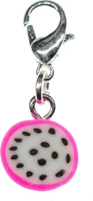 Produktbild von Drachenfrucht Charm Miniblings Zipper Pull Anhänger Frucht Obst exotisch Scheibe