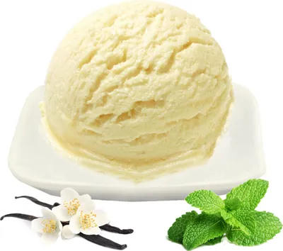 Image de Vanille Menthe Poudre pour glace Low Carb Vegan sans sucre, sans lactose 1 kg