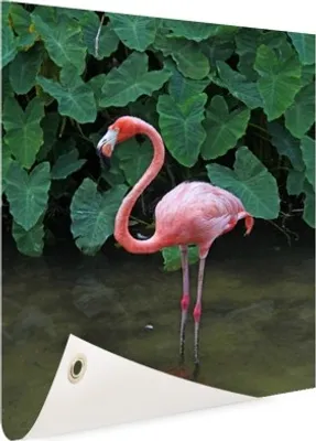 Produktbild von Gartenposter - 40x60 cm - Ein Flamingo mit Pflanzenhintergrund  - Modernes Wandbilder