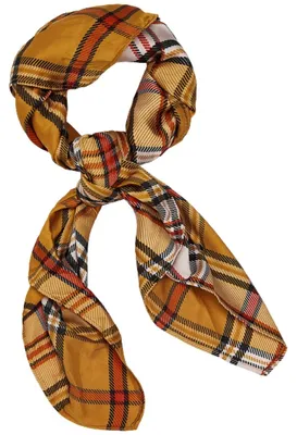 Image de Écharpe Zara pour femmes, motif carreau marron