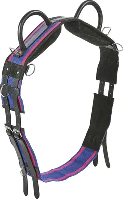 Produktbild von Busse Longiergurt DOUBLE, Größe:Pony, Farbe:navy/passion pink