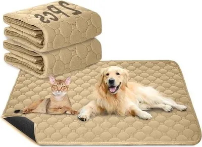 Obrázok produktu pre Vodotesná podložka na močenie - 70 x 50 cm - Umývateľná podložka pre psy/mačky - Rýchlo absorbujúca tréningová podložka - Hnedá