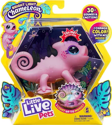 Produktbild von Little Live Pets – Leuchtendes Chamäleon Nova