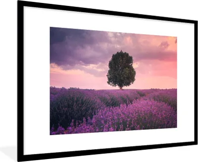 Produktbild von MuchoWow® Gerahmtes Poster Lavendel - Lila Blumen - Baum - Natur 90x60 cm - Poster mit Schwarzem Bilderrahmen Wandposter Rahmen Foto Bilder - Wanddekoration - Fotos