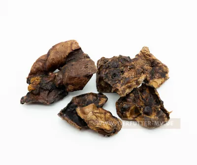 Several pieces of dried horse lung dog treats are arranged on a white background.