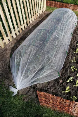 Image de Kit tunnel anti-insectes "Protect Tunnel"- 1 x 4,50 m