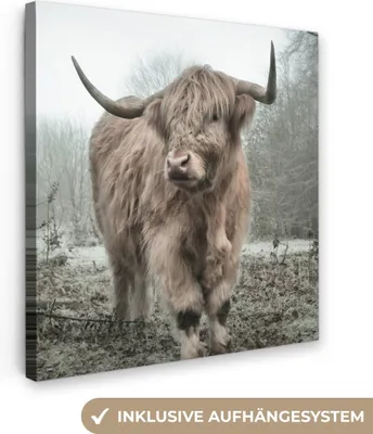 Obrázok produktu pre MuchoWow® - Plátno - Škótsky horal - Príroda - Jeseň - Zvieratá - Divoká príroda - Les, fototapeta, nástenné dekorácie obrazy obývacia izba, 50x50cm
