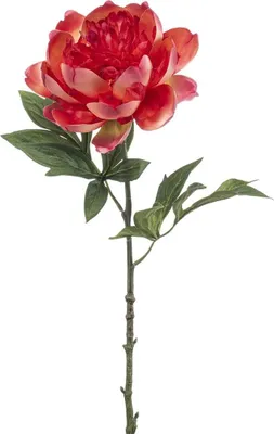 Produktbild von artplants.de Kunstblume Pfingstrose TWOLER, Koralle, 55cm - Künstliche Päonie