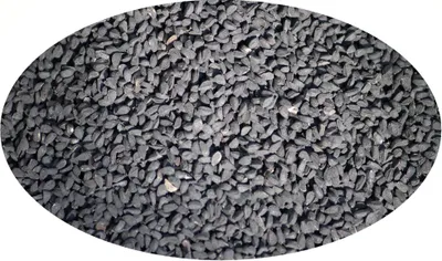 Produktbild von Schwarzkümmel ganz - 1kg Gewürze / Fleischgewürz