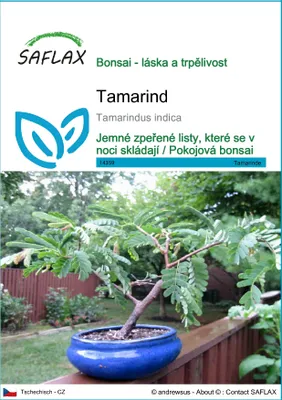 Obrázek produktu pro SAFLAX - tamarind - Tamarindus indica - 4 Semena