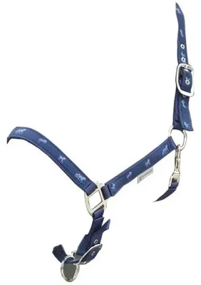 Produktbild von Waldhausen Horsemotif Halfter Silber Pony Silber Pony