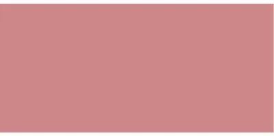 Productafbeelding van Lip boost lipgloss (lipgloss voor een voller effect), 8 ml - Kleur: Rosewood
