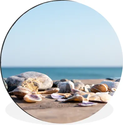 Produktbild von MuchoWow® Aluminium Wandkreis Muscheln - Strand - Meer - Sommer - Sonne Ø 60 cm Wanddeko Modern Wohnzimmer - Wand Kreis - Wandbild - Schlafzimmer - Aluminium Bild - Kinderzimmer - Wohnzimmer Dekoration - Wandschmuck
