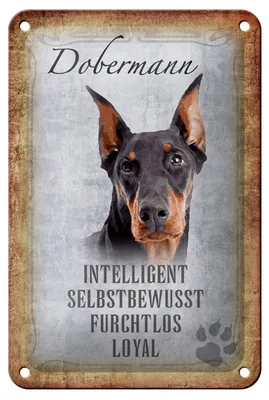 Produktbild von Blechschild Spruch 12x18cm Dobermann Hund loyal Schild