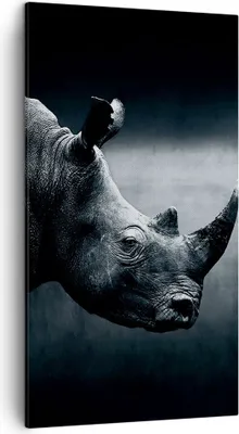 Produktbild von Bild auf Leinwand - Leinwandbild - Einteilig - Nashorn Schwarzweiß Porträt - 45x80cm - Wand Bild - Wanddeko - Wandbilder - Leinwanddruck - Bilder - Wanddekoration - Leinwand bilder - PA45x80-4347