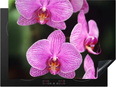 Produktbild von KitchenYeah© Herdabdeckplatte Rosa Orchidee , 71x52cm, Küche Deko, Glaskeramikkochfeld Herdabdeckung, Abdeckplatte fùr Kochfeld
