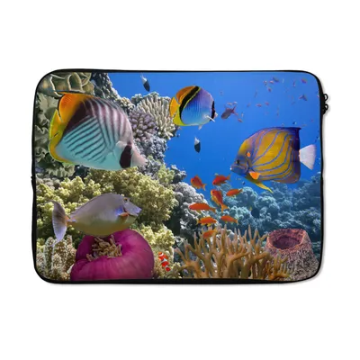 Produktbild von MuchoWow® Laptop Hülle 14 ZollWasser - Schwimmen - Fische Laptoptasche - Laptoptasche - Stoßsicher - Schutzhaube