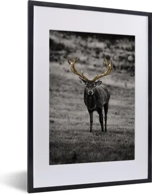 Produktbild von MuchoWow® MuchoWow® Gerahmtes Poster Hirsch - Gold - Geweih 30x40 cm - Poster mit zchwarzem Bilderrahmen - Wandposter Schlafzimmer