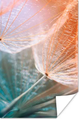 Produktbild von MuchoWow® Poster Blume - Löwenzahn - Pflanze 120x180 cm - Kunstposter