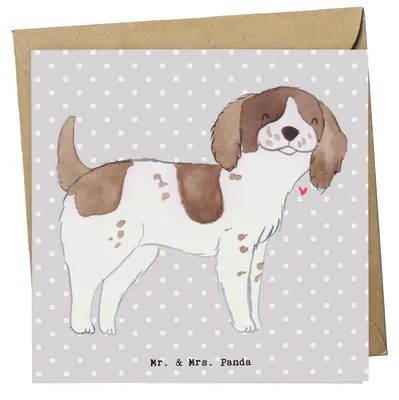 Produktbild von Mr. & Mrs. Panda Glückwunschkarte English Springer Spaniel Lebensretter - Grau Pastell - Geschenk, Grußkarte, Klappkarte, faltkarte, anlasskarte, doppelkarte