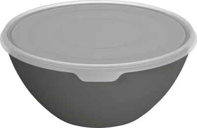 Produktbild von Rotho Schüssel + Deckel Caruba 8 L schwarz