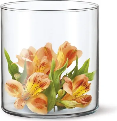 Obrázek produktu pro Simax Drum I, Válcová váza, Sklo, Průhledná, 170 mm, 120 mm, 120 mm