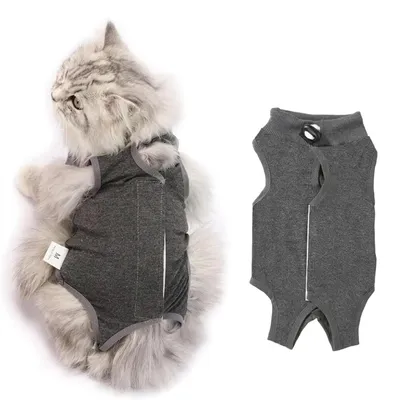 Produktbild von Katzenbody nach Operation, Erholungsbody für Katzen, Größe M