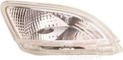 Produktbild von VAN WEZEL 4372908 Blinker Blinkleuchte vorne Rechts für RENAULT TWINGO II (CN0)