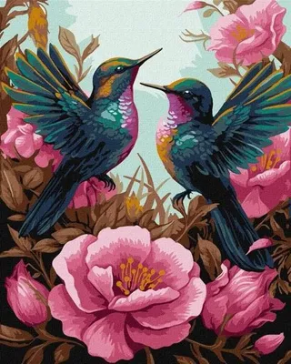 Image de Peinture par numéros - Colibri élégant 40 x 50 cm - Ideyka