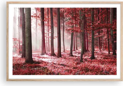 Produktbild von Gerahmtes Poster - Rahmen in heller Eiche - Wald Rot Bäume - 91,5x61 cm - Wand Bild - Wanddeko - Wandbilder - Kunstposter - Wandposter - Bilderrahmen - Bilder - Kunstdruck - P2NAA91x61-4944