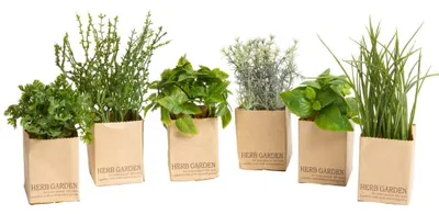 Productafbeelding van Kunstmatig Kruidenassortiment in Papieren Zak, 6 Stuks