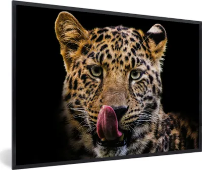 Produktbild von MuchoWow® MuchoWow® Gerahmtes Poster Leopard - Schwarz - Nahaufnahme 90x60 cm - Poster mit zchwarzem Bilderrahmen - Fotorahmen - Foto-Plakat