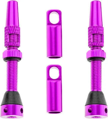 Produktbild von Presta Ventile Tubeless, 60 mm, Aluminiumlegierung, 2 Stück, für MTB