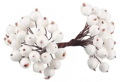 Produktbild von Verk 26084 Weiße, gefrorene Weihnachts-Ebereschenbeeren, 5er-Set