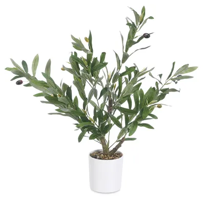 Productafbeelding van Decoratieve olijfboom, 58 cm