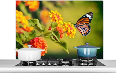 Produktbild von KitchenYeah®  Spritzschutz Küche - Küchenrückwand - Wandschutz für Herd und Spüle - Schmetterling - Insekten - Blumen - Gelb 100x65 - Alu-Dibond (Alternative zum Spritzschutz aus Glas) - Hitzebeständi