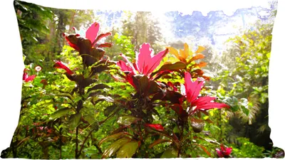 Produktbild von MuchoWow® Zierkissen Sofakissen Wohnzimmer Dekokissen 60x40 cm Schöne Blumen inmitten des Dschungels - Kopfkissen - Polster mit Foto