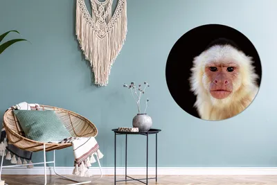 Produktbild von MuchoWow® - Tapetenkreis - Wandbild rund - Schlafzimmerdekoration - Wanddeko - runde Tapete - Kunst für zu Hause