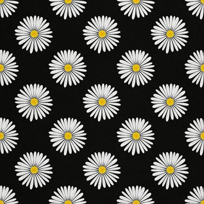Produktbild von OUTDOOR DEKOSTOFFE OXFORD - Motiv Gänseblümchen auf schwarzem 2