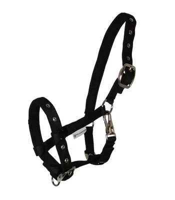 Image de Waldhausen Licol pour poulain Comfort