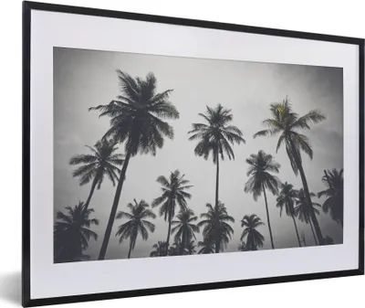 Produktbild von MuchoWow® Gerahmtes Poster Palme - Tropisch - Natur 60x40 cm - Poster mit Schwarzem Bilderrahmen Wandposter Rahmen Foto Bilder - Schlafzimmer - Plakat in Rahmen - Drucken