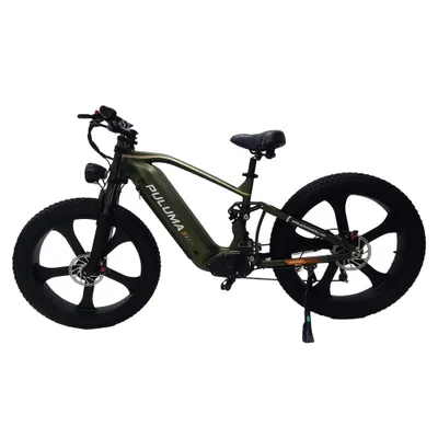 Produktbild von PE900 E-Bike, Fat-Reifen, 52V 20Ah, Reichweite bis 120 km, 80 N·m Drehmoment